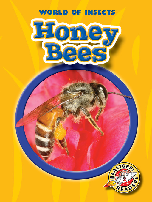 Title details for Honey Bees by Colleen Sexton - Available